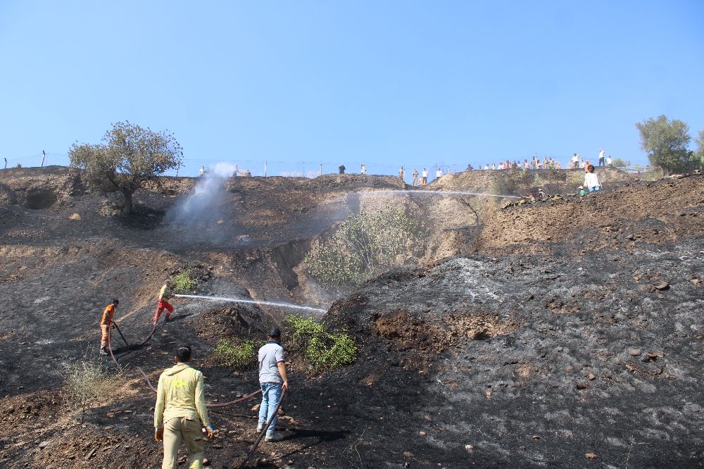 Alevler, evlere ulaşmadan söndürüldü