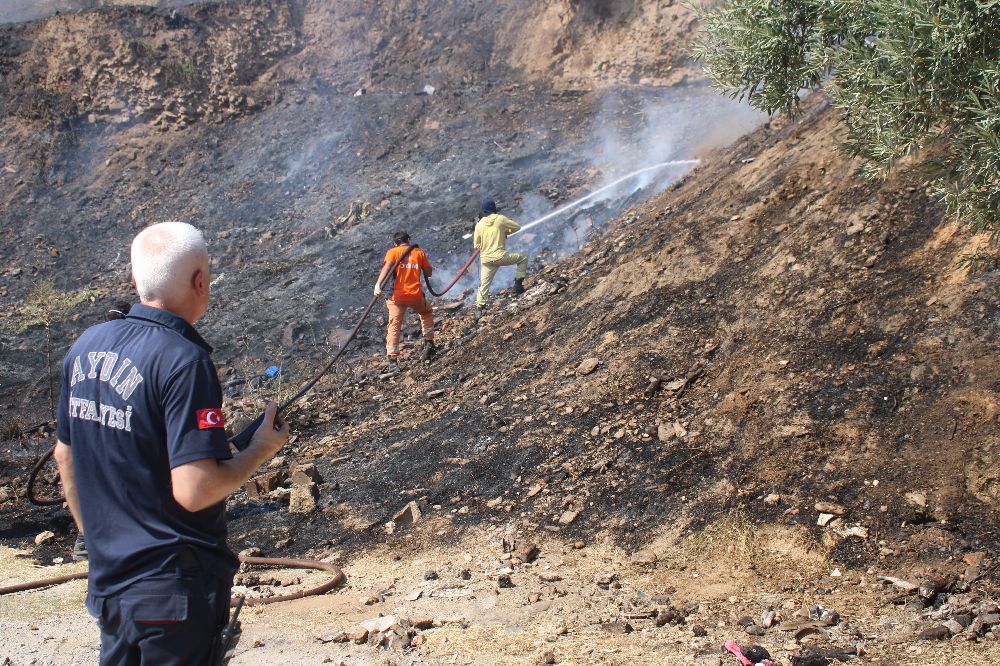 Alevler, evlere ulaşmadan söndürüldü