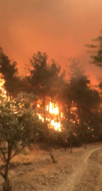 Alevlerin arasındaki dehşet anları kamerada