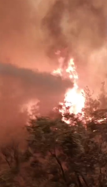 Alevlerin arasındaki dehşet anları kamerada