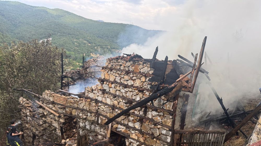 Anızda çıkan yangın asırlık düğmeli evleri küle döndürdü