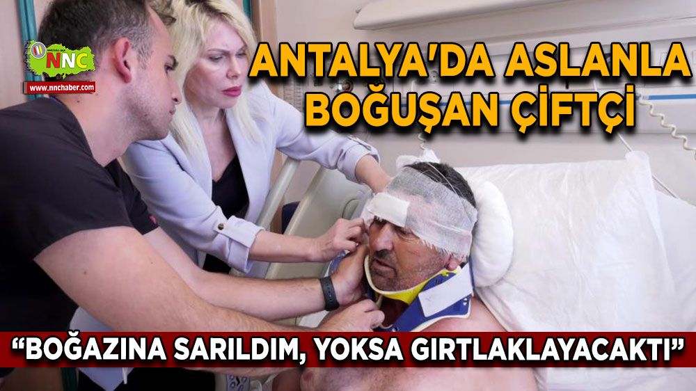 Antalya'da aslanla boğuşan çiftçi “Boğazına sarıldım, yoksa gırtlaklayacaktı”