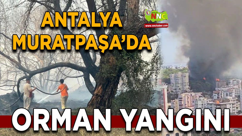 Antalya'da bir orman yangını daha