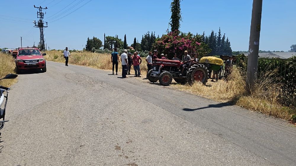Antalya'da çıkan yangında palmiye ağaçları küle döndü