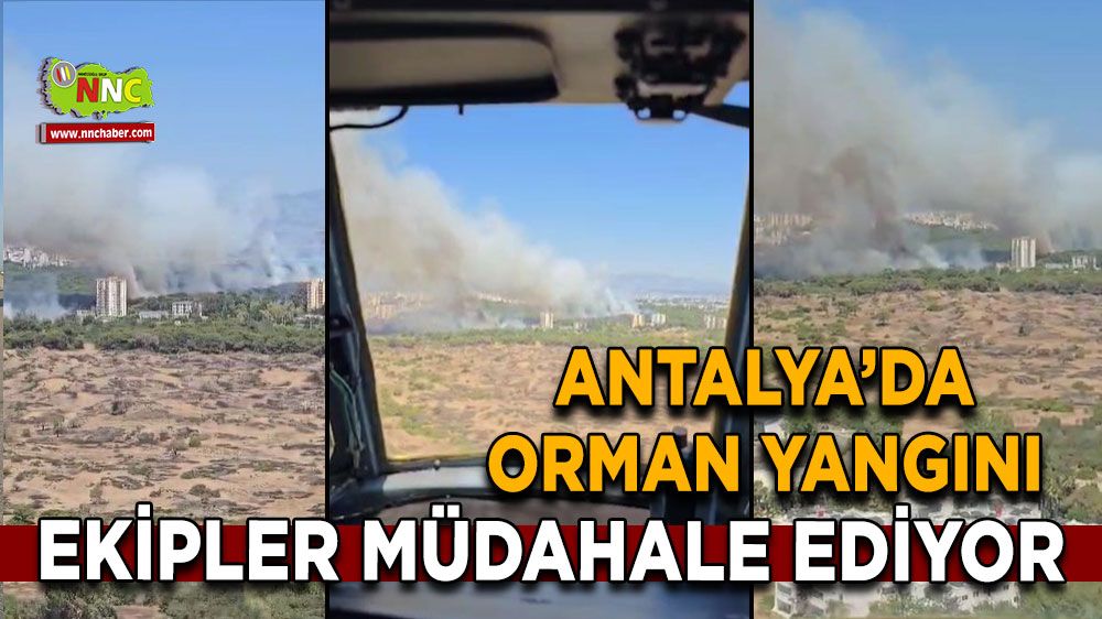 Antalya'da orman yangını