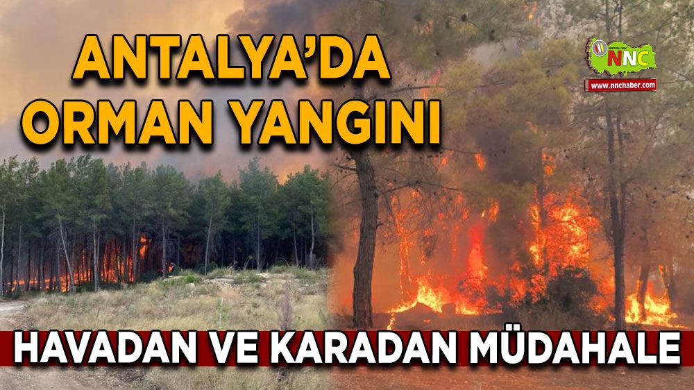 Antalya’da orman yangını