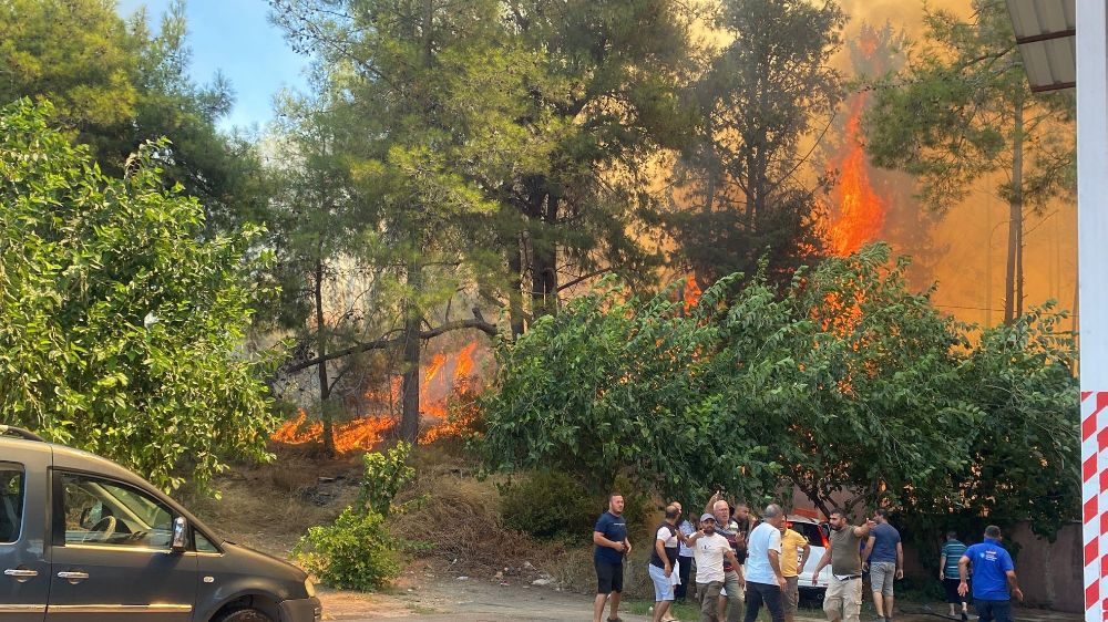 Antalya'da ormanlık alanda yangın paniği