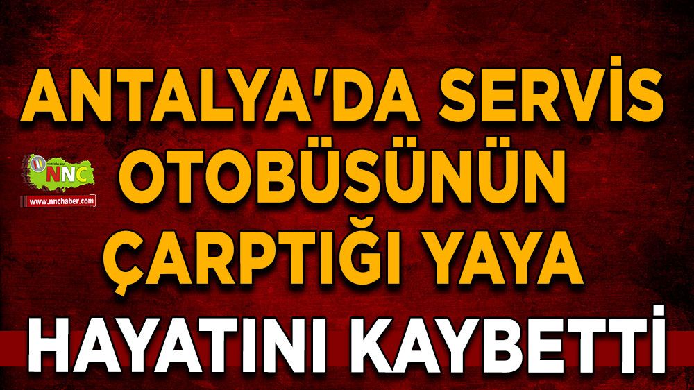 Antalya'da servis otobüsünün çarptığı yaya hayatını kaybetti