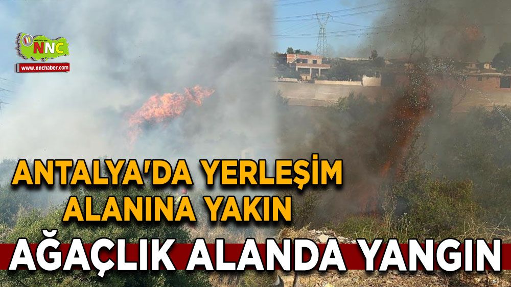 Antalya'da yerleşim alanına yakın ağaçlık alanda yangın