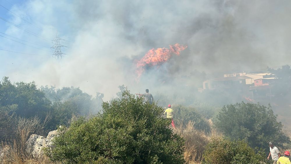Antalya'da yerleşim alanına yakın ağaçlık alanda yangın