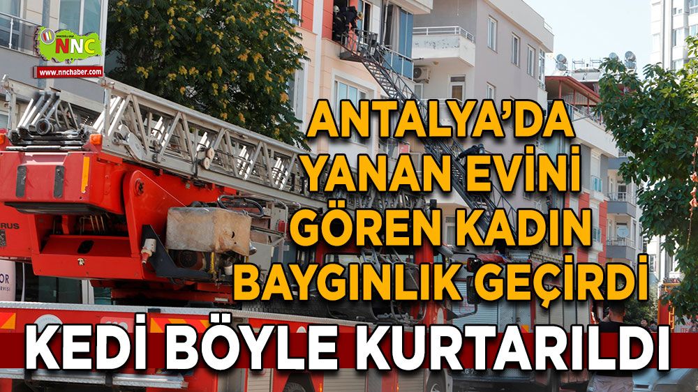 Antalya yangın! Ev sahibi bayıldı, kedi kurtarıldı