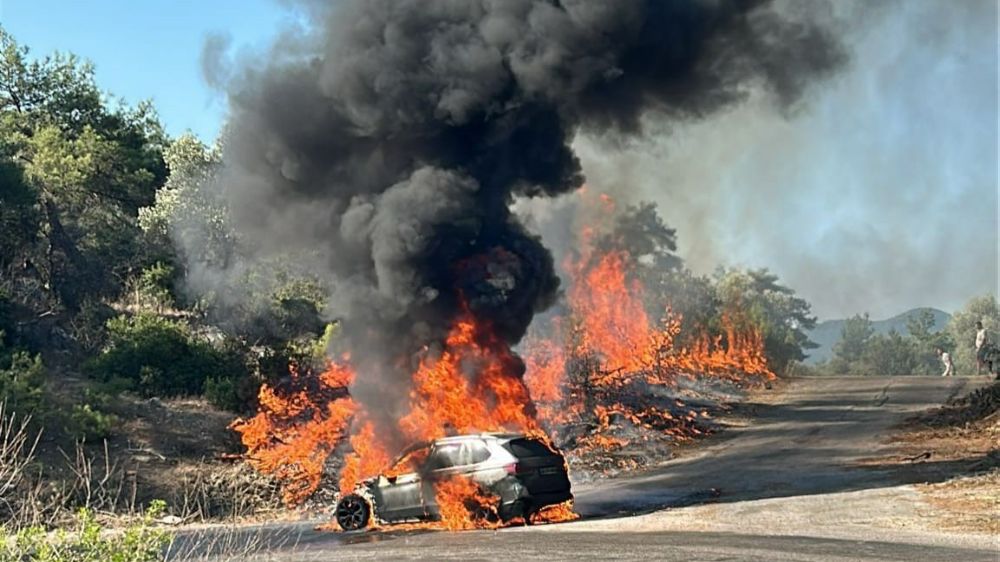 Araçta çıkan yangın ormana sıçradı