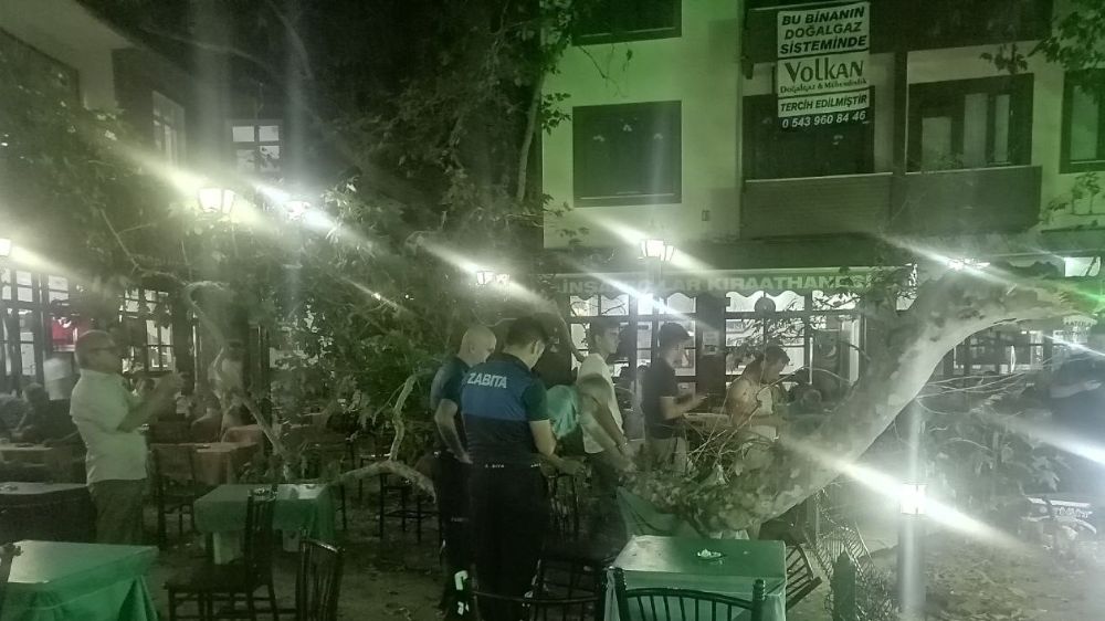 Asırlık çınarın dalı kalabalığın üzerine düştü: 1 yaralı