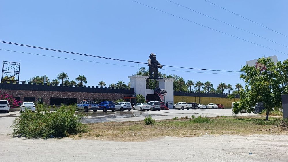 Aslanın kaçtığı hayvanat bahçesi yapılacak denetime kadar mühürlendi