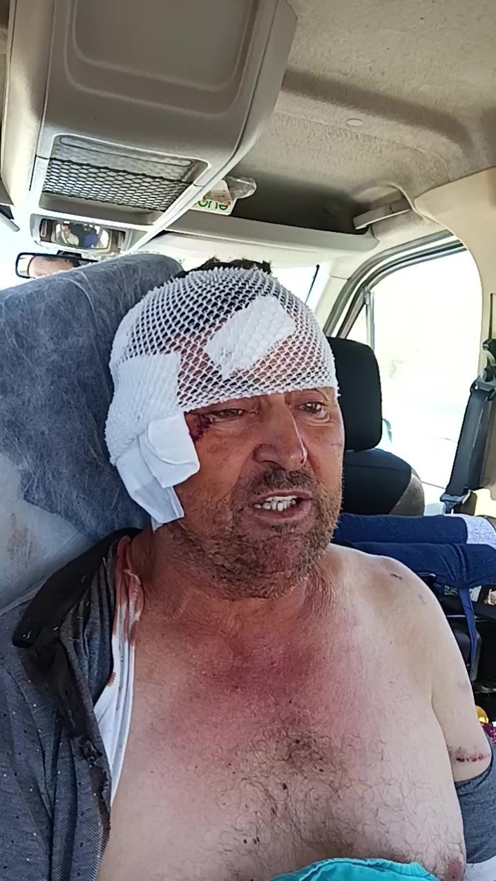 Aslanın kaçtığı hayvanat bahçesi yapılacak denetime kadar mühürlendi