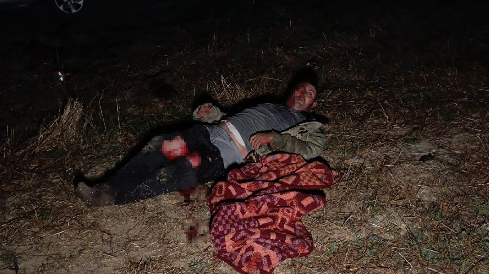 Aslanın kaçtığı hayvanat bahçesi yapılacak denetime kadar mühürlendi