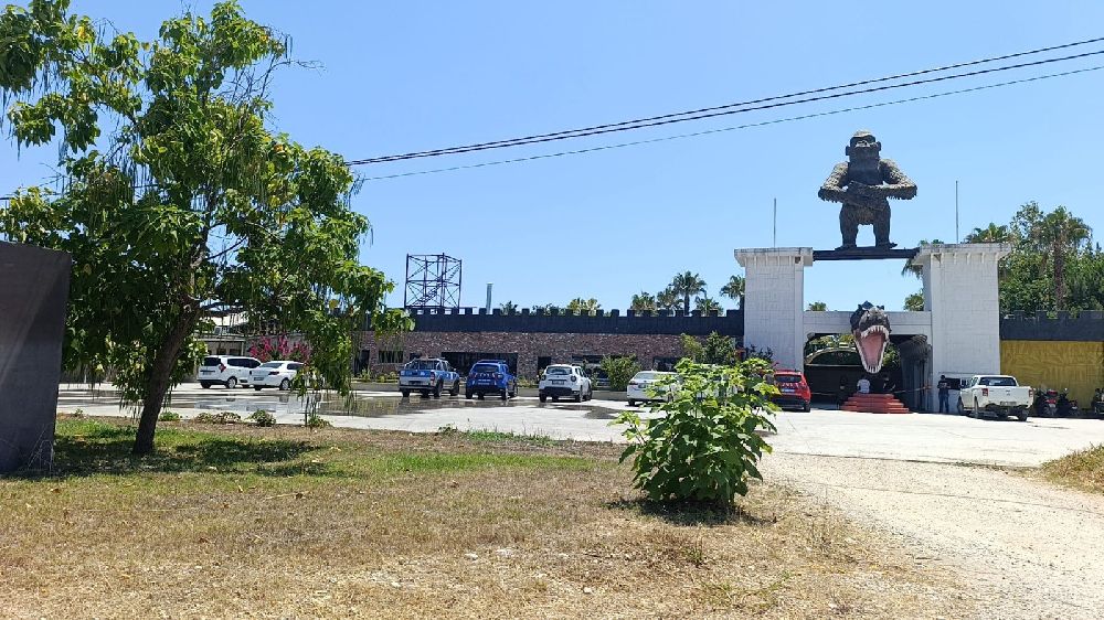 Aslanın kaçtığı hayvanat bahçesi yapılacak denetime kadar mühürlendi