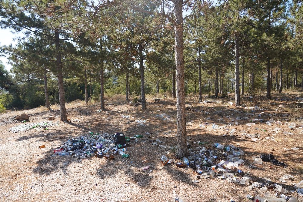 Atatürk Ormanı'ndan 20 ton çöp çıktı