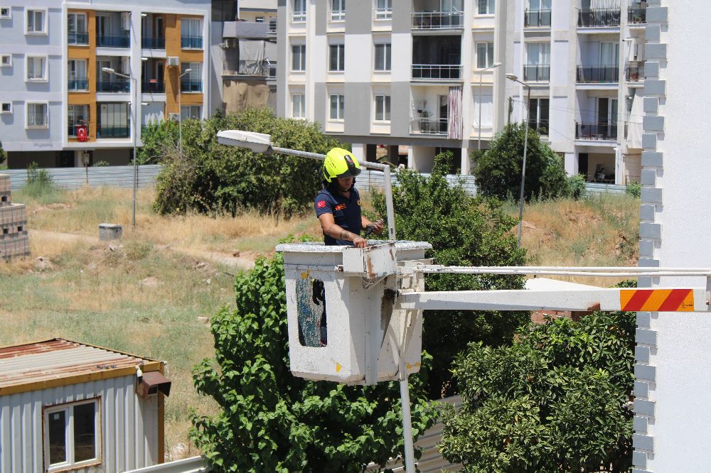 Aydın'da balkonda sıkışan kumruyu vatandaşın dikkati kurtardı