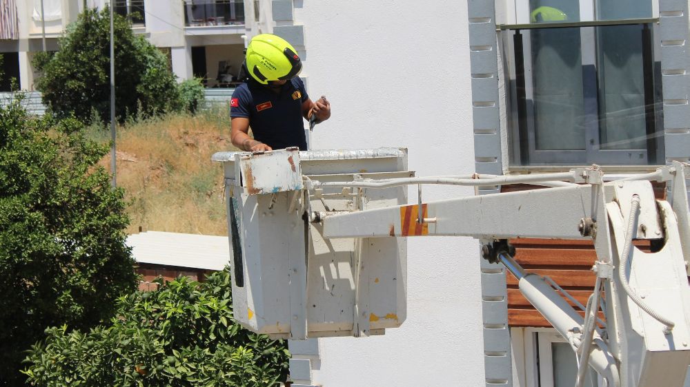 Aydın'da balkonda sıkışan kumruyu vatandaşın dikkati kurtardı
