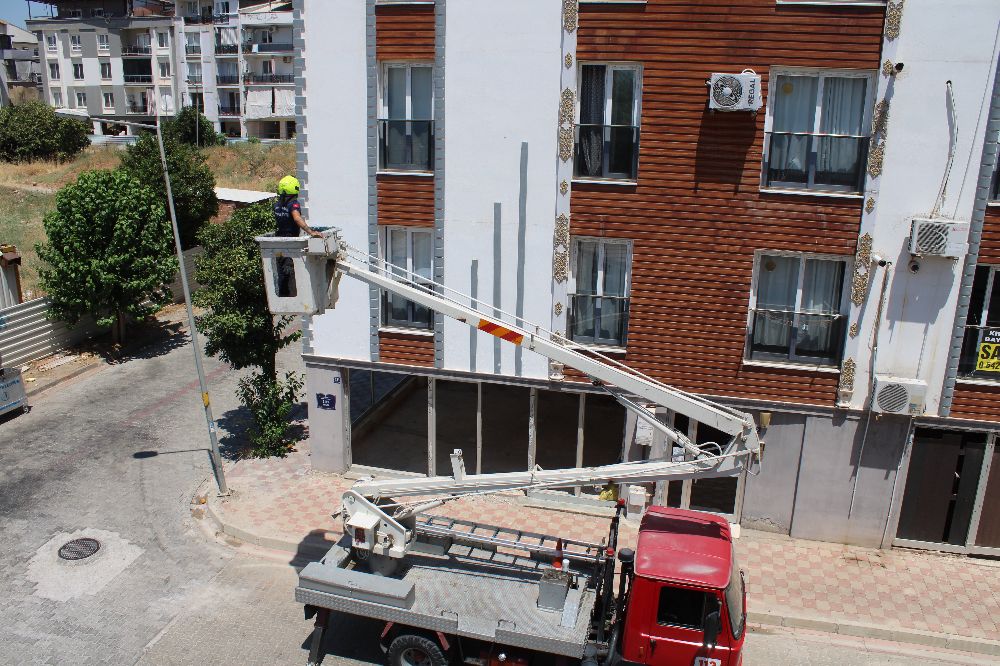 Aydın'da balkonda sıkışan kumruyu vatandaşın dikkati kurtardı