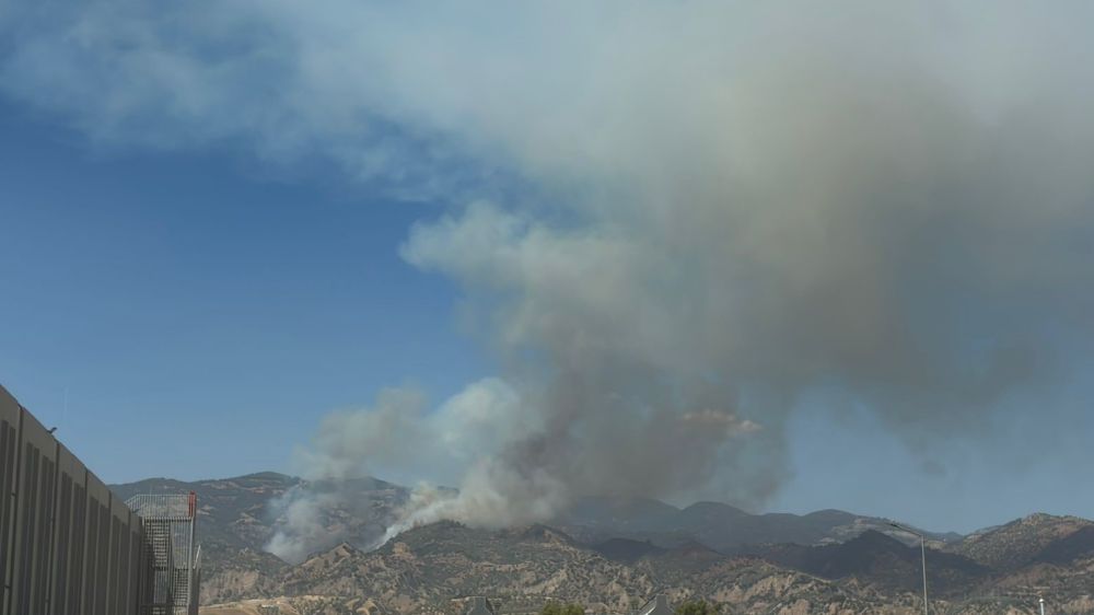 Aydın’da orman yangını