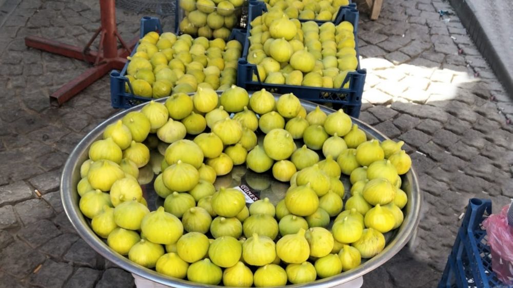 Aydın’ın inciri pazar tezgahlarında 250 liradan satışa sunuldu