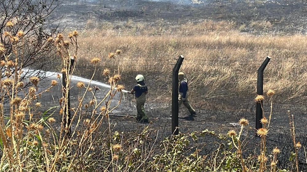 Bahçeşehir'de otluk alan alev alev yandı, yol trafiğe kapatıldı