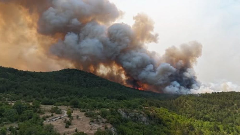 Bakan Yumaklı "Antalya’da çıkan orman yangını kontrol altına alındı"