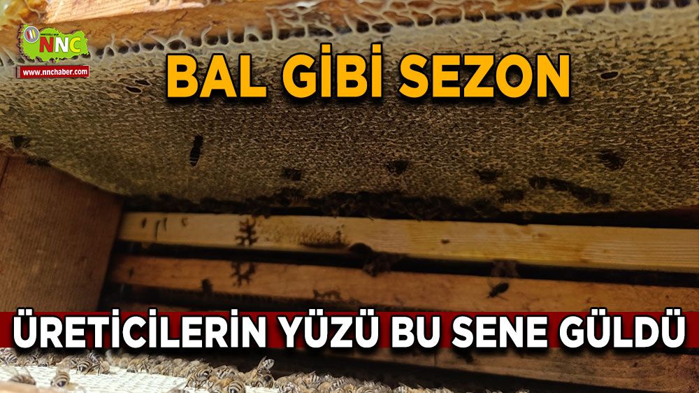 Bal gibi sezon arıcıların yüzünü güldürdü