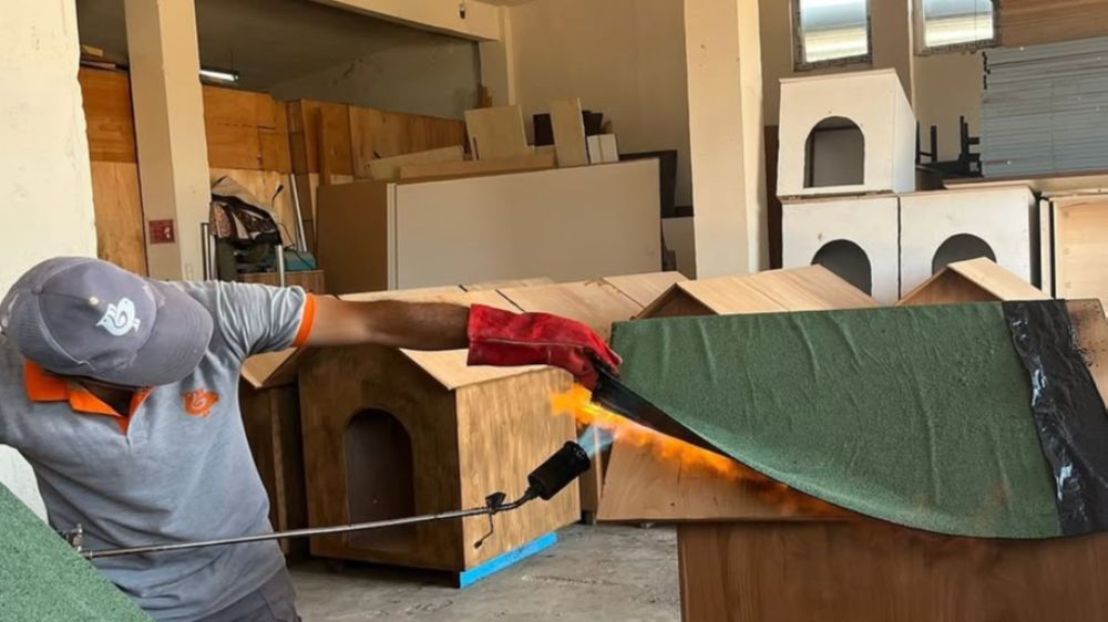 Bandırma Belediyesi'nden sokak hayvanlarına doğal yaşam alanı