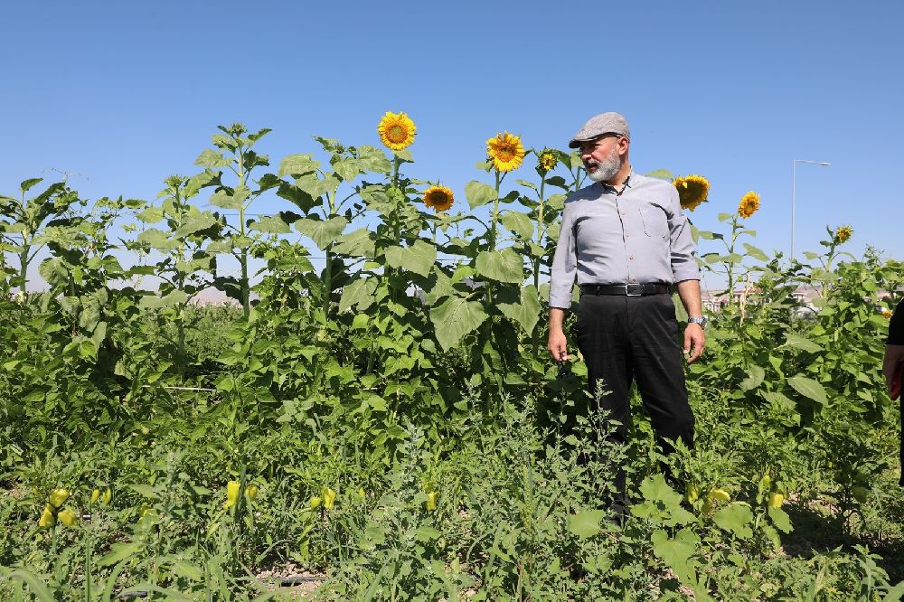 Başkan Çolakbayrakdar: "Şehrin kalbinde tarımla, ülkemizin tarımsal geleceğini şekillendiriyoruz"