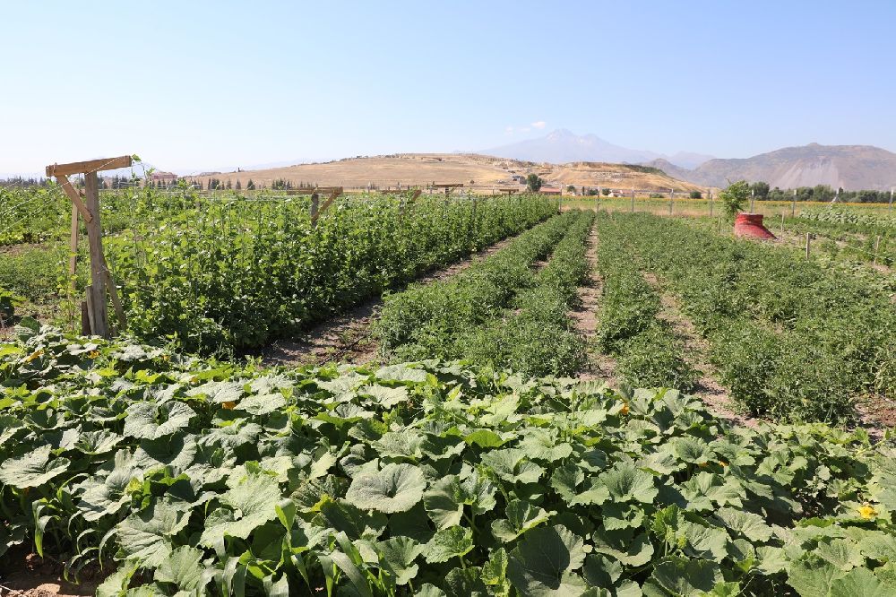 Başkan Çolakbayrakdar: "Şehrin kalbinde tarımla, ülkemizin tarımsal geleceğini şekillendiriyoruz"