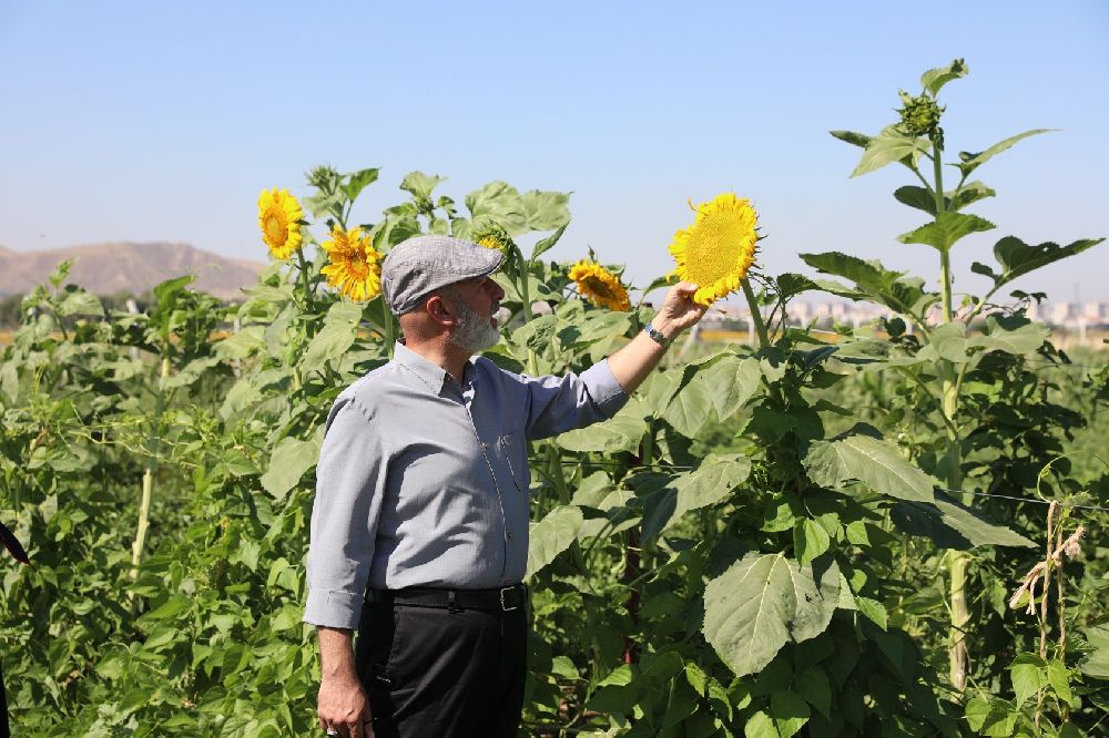 Başkan Çolakbayrakdar: "Şehrin kalbinde tarımla, ülkemizin tarımsal geleceğini şekillendiriyoruz"