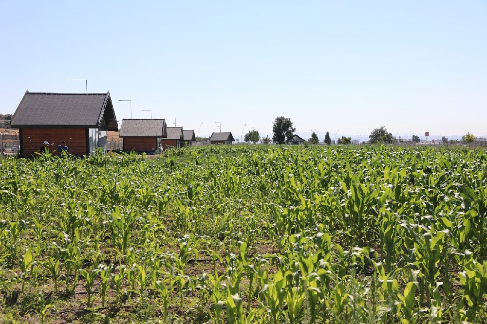 Başkan Çolakbayrakdar: "Şehrin kalbinde tarımla, ülkemizin tarımsal geleceğini şekillendiriyoruz"