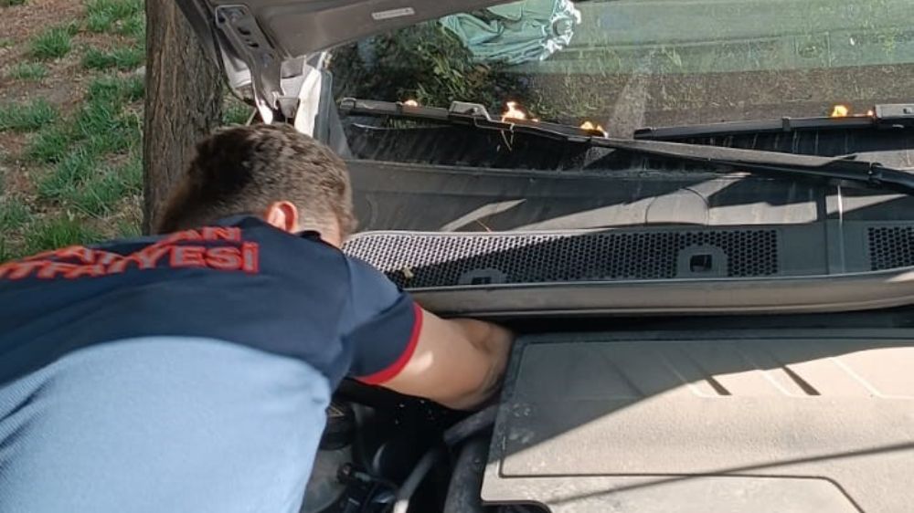  Batman'da otomobilin motoruna sıkışan kediyi itfaiye kurtardı