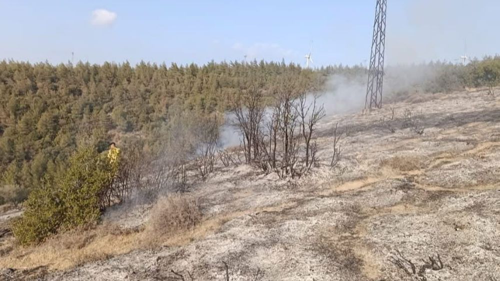 Belen’de ormanlık alanda yangın çıktı