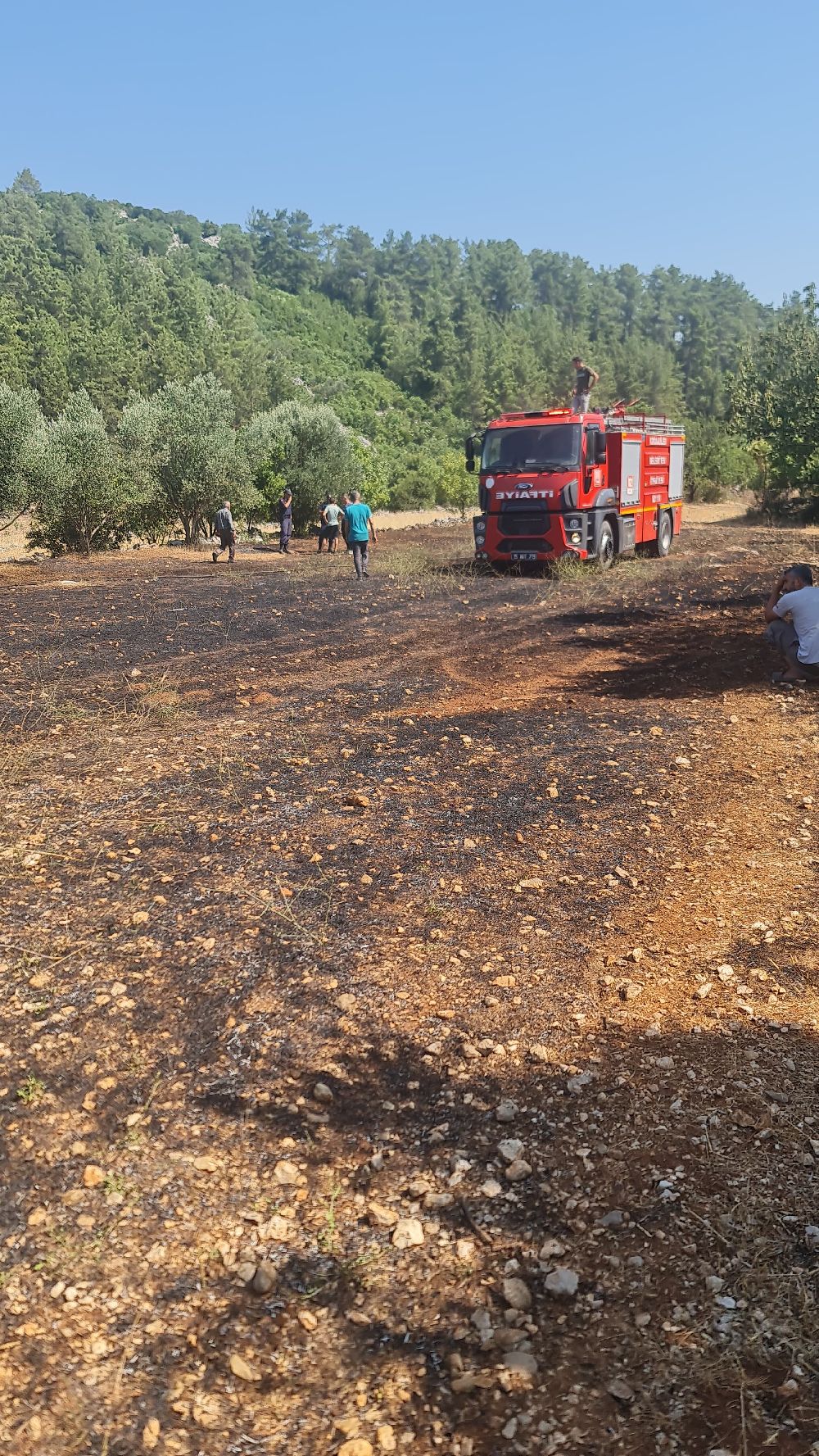 Bengisu Avcı, Kuzey Kanalı’nda
