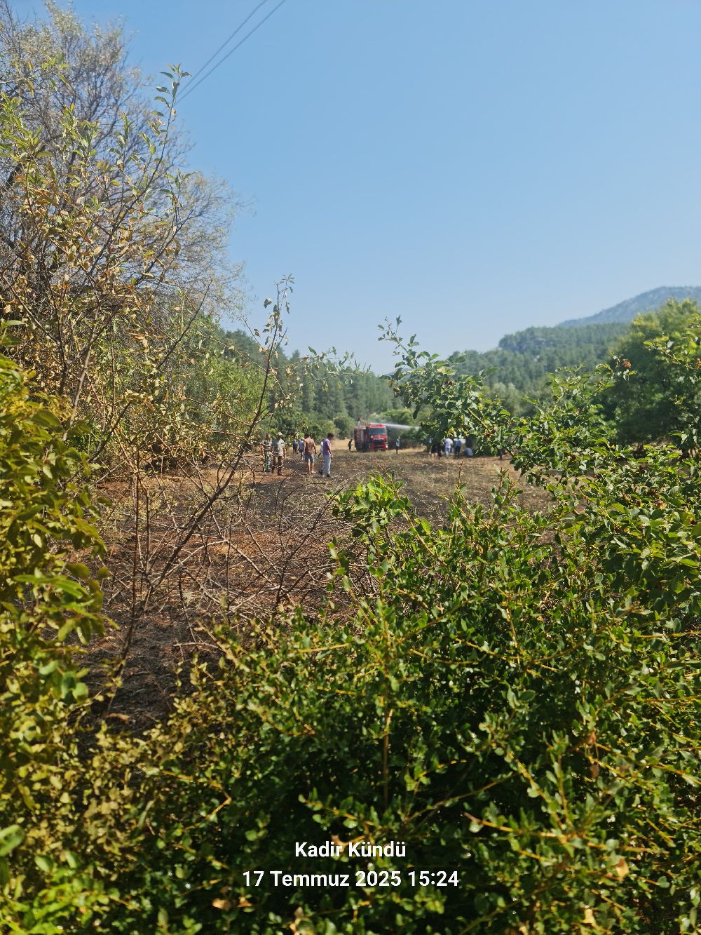 Bengisu Avcı, Kuzey Kanalı’nda