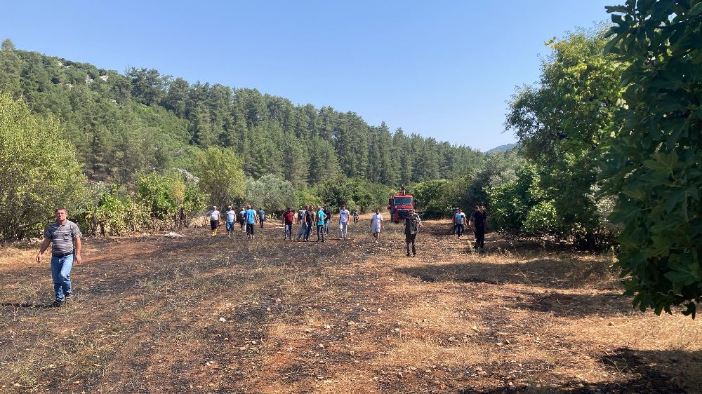 Bengisu Avcı, Kuzey Kanalı’nda
