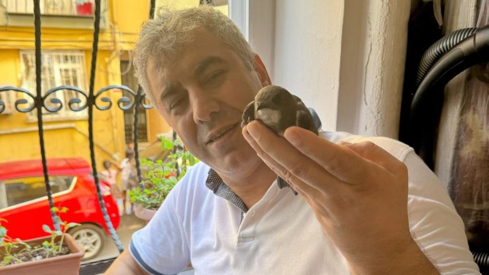 Beyoğlu'nda 6 yıl önce tedavisini yaptığı ebabil kuşu yeniden penceresine kondu