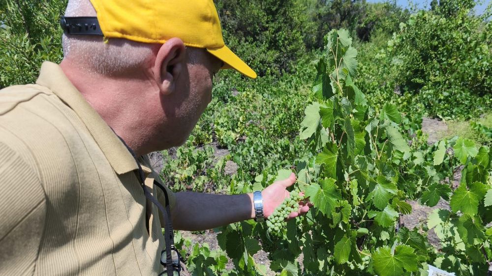  Beyşehir’de patates ekili alanlarda zararlı alarmı