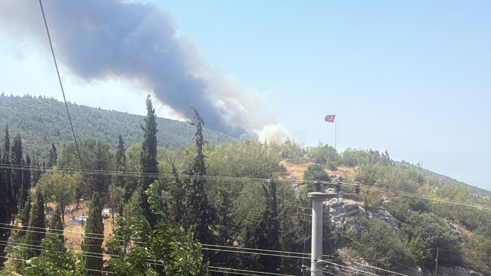 Bilecik’te alevler tavuk çiftliklerine dayandı