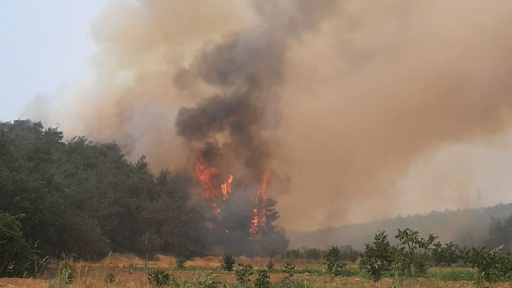 Bilecik'te alevler yeniden yükselmeye başladı