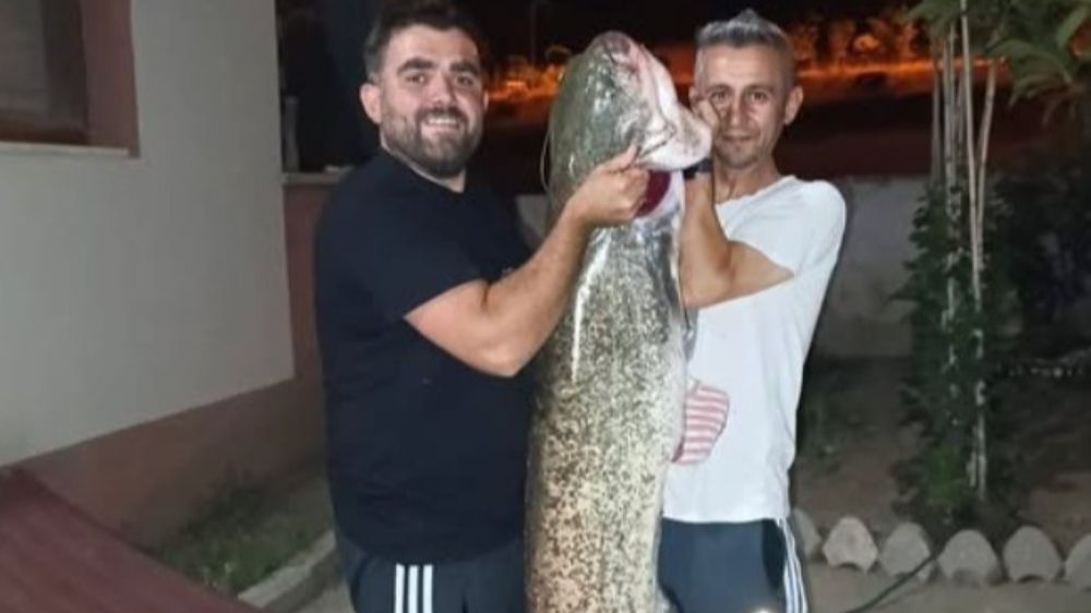  Bilecik'te dev yayın balığını tutuldu