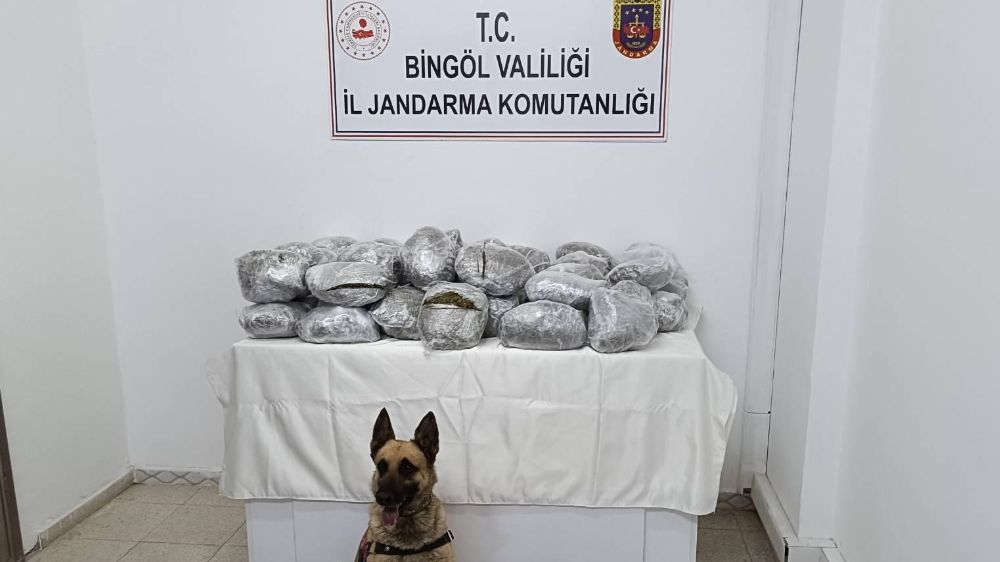  Bingöl’de 49 kilo esrar ele geçirildi