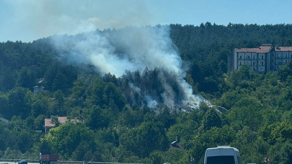 Bolu’da çıkan orman yangını büyümeden söndürüldü
