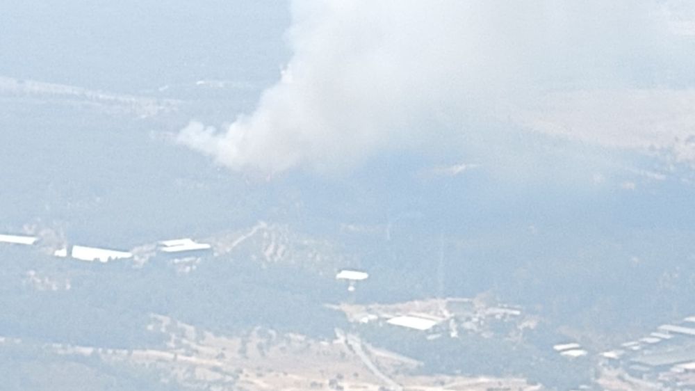 Bornova’da orman yangını