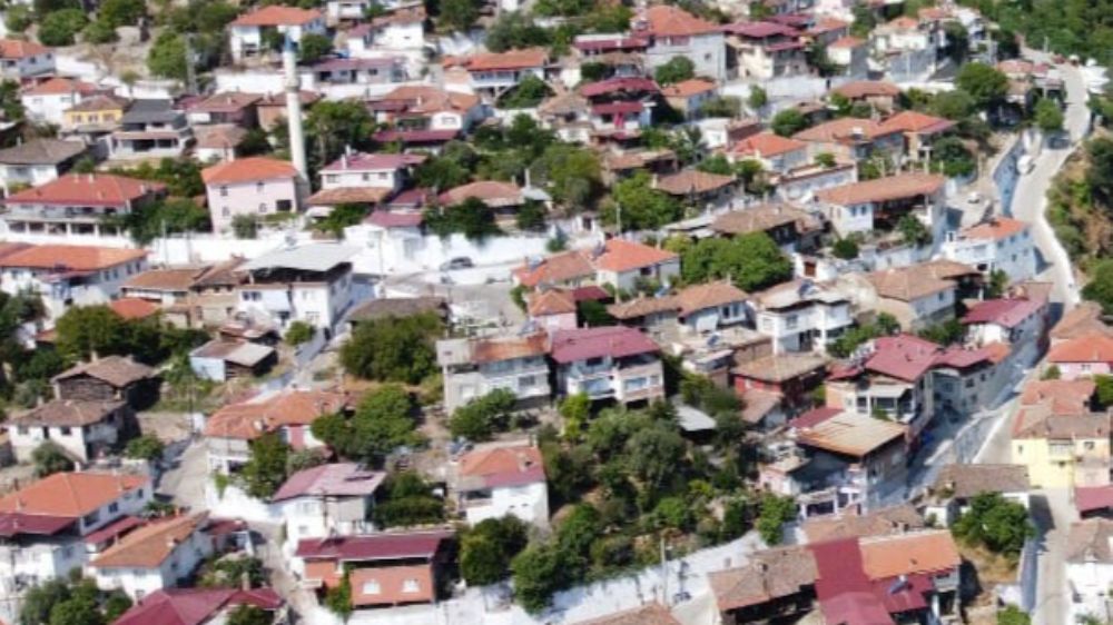 Bozdoğan beyaza boyandı