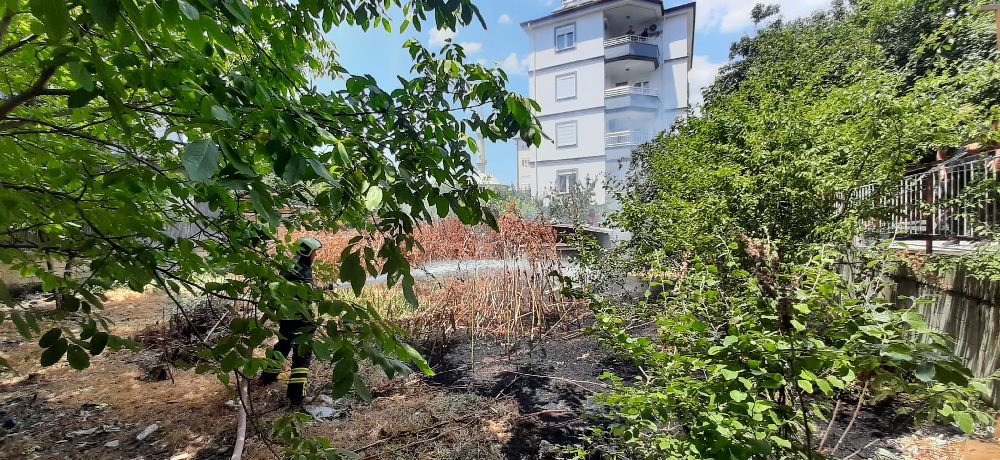 Bucak'ta boş arazide ot yangını